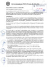 Vista preliminar de documento ra_272