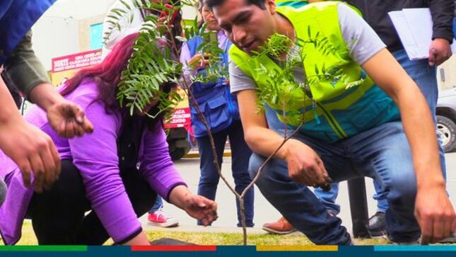 La Municipalidad Provincial de Cajamarca, a través de la gerencia de Desarrollo Ambiental realizaron una importante campaña de arborización a lo largo de toda la vía de Evitamiento Norte.
✅Esta actividad se desarrolló a la altura del centro comercial Real Plaza y contó con la participación de los jóvenes voluntarios de Asez Wao,  la Red Juvenil Ambiental Cajamarca (RAJUCAJ) , quienes están comprometidos con el cuidado del medio ambiente.
👉Con más de 100 plantones, buscamos cuidar el medio ambiente y mejorar el ornato de la ciudad, teniendo en cuenta que los árboles producen oxígeno, purifican el aire, forman suelos fértiles, reducen la temperatura del suelo y regeran los nutrientes del suelo. 
