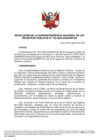 Vista preliminar de documento Resolución de la Superintendencia Nacional de los Registros Públicos N.°132-2023-SUNARP/SN