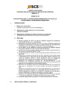 Vista preliminar de documento ANEXO 01