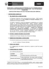 Vista preliminar de documento BASES CAS N°058-2023-OSCE