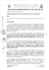 Vista preliminar de documento RG187-2023