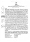 Vista preliminar de documento rgm1712021gmampmn
