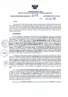 Vista preliminar de documento RDR N° 0462-2023-03-08-2023