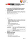 Vista preliminar de documento 04 Convocatoria 030 SD SIG