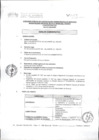 Vista preliminar de documento CAS 001-2020-MVMT AUXILIAR ADMINISTRATIVO