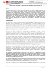 Vista preliminar de documento RJ 59-2023 BASES CPE 01-2023 OBRA PUNTILLA
