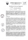 Vista preliminar de documento RDR-0989-2023