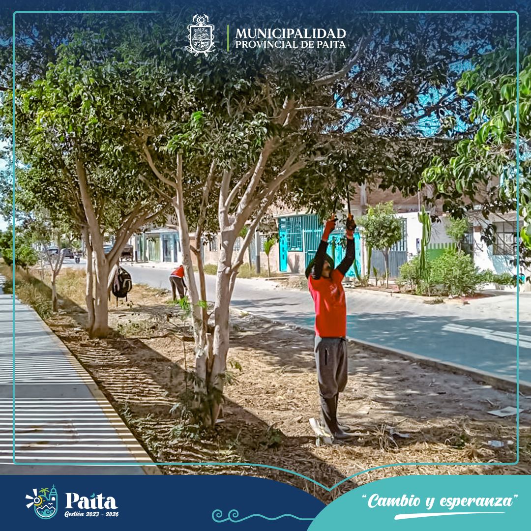 Trabajos en áreas verdes