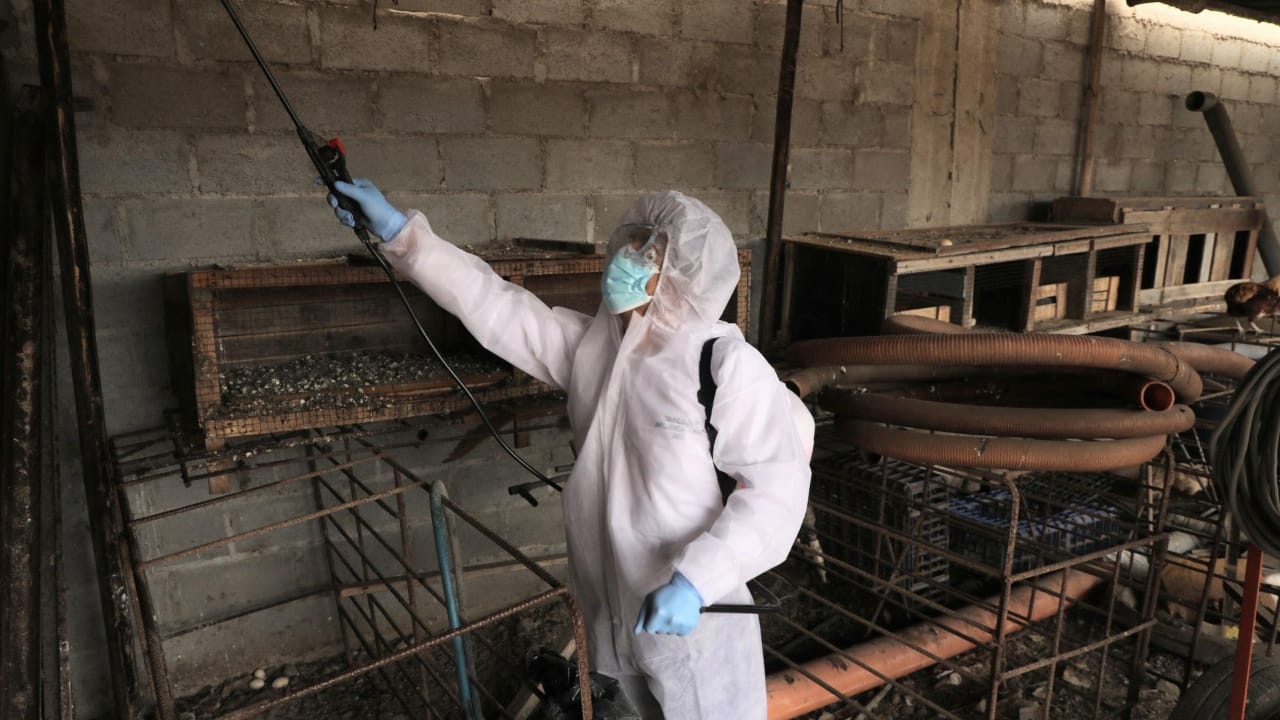 Minsa refuerza su capacidad de respuesta ante la posibilidad de casos de influenza aviar en personas