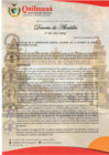Vista preliminar de documento DECRETO DE ALCALDIA N°005 CCL