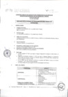 Vista preliminar de documento CAS 007-2020-MVMT ASISTENTE DE LA OFICINA DE PROGRAMACION MULTIANUAL DE INVERSIONES
