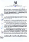 Vista preliminar de documento RDR N° 0478-2023-10-08-2023