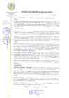 Vista preliminar de documento ACUERDO 61