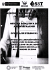 Vista preliminar de documento directiva