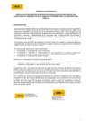 Vista preliminar de documento TDR Gestor de Proyectos Tecnológicos 