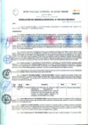 Vista preliminar de documento RESOLUCION DE GERENCIA MUNICIPAL Nº056-203-GM-MDAV