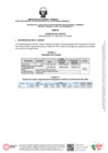 Vista preliminar de documento ANEXO 2