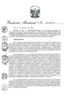 Vista preliminar de documento RM 313-2023-TR