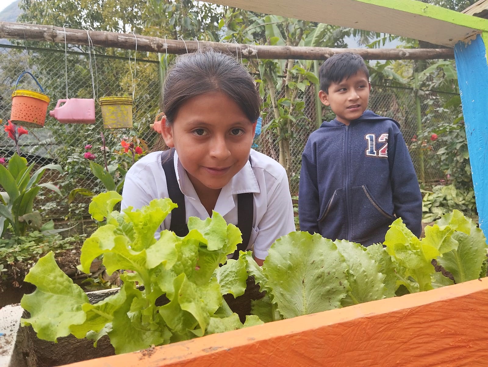 Servicio alimentario escolar