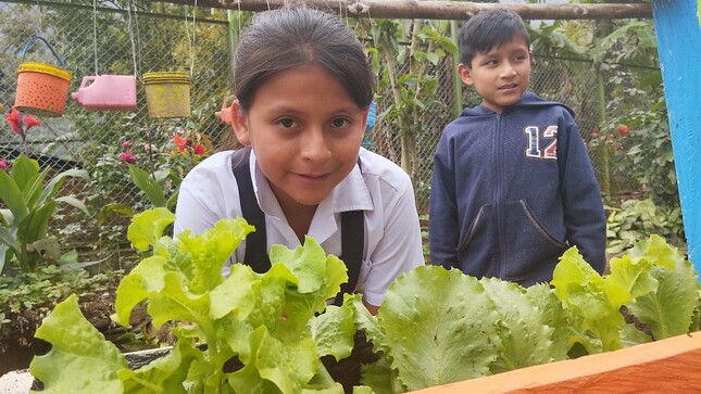 Servicio alimentario escolar