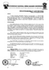 Vista preliminar de documento ResolucionKcgyr