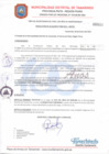Vista preliminar de documento RA 8-2021