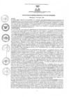 Vista preliminar de documento rgm1812021gmampmn