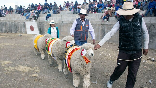 Fotografía de feria