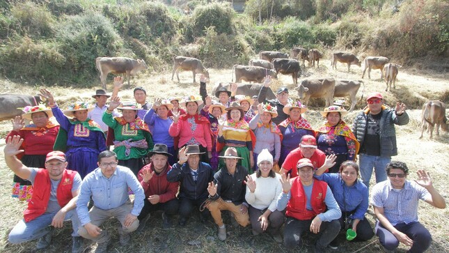 Fortalecen cadena productiva de leche con entrega de vaquillonas en Copa-Cajatambo