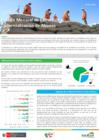 Vista preliminar de documento Boletín - Mensual de Extracción y Comercialización de Abonos N 004-2023