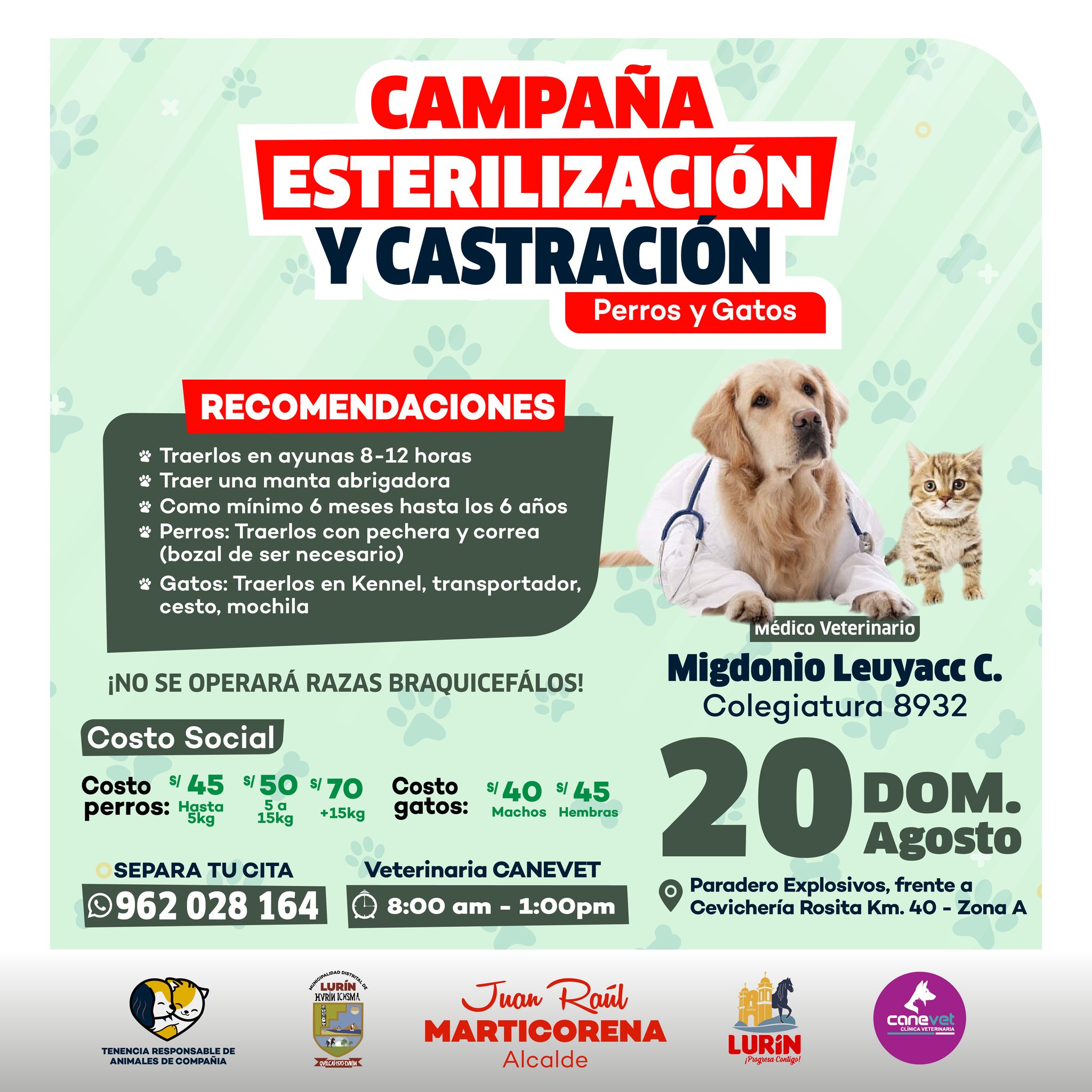 Archivo de JPG sobre una publicación del área de imagen