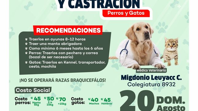 Archivo de JPG sobre una publicación del área de imagen