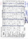 Vista preliminar de documento ROLES MÉDICOS MES JULIO-2023