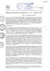 Vista preliminar de documento RER N507