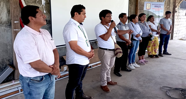 proyecto-bambu01