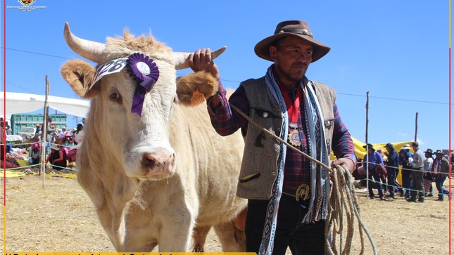 En el marco de las celebraciones por el LVII Aniversario de creación política de Ahuichanta - Huisuray, la Municipalidad de Colquemarca en coordinación con la comunidad, organizaron la "V Feria Agropecuaria, Artesanal, Gastronómica y IV Festival del Cordero al Horno Ahuichanta Huisuray 2023", evento emblemático que se llevó a cabo el domingo 23 de julio.
Este evento, organizado por la Municipalidad de Colquemarca a través del Proyecto Ferias de la Gerencia de Desarrollo Económico, en estrecha coordinación con la comunidad de Ahuicnata Huisuray, se ha consolidado como un espacio privilegiado para fomentar la promoción y comercialización de los productos locales, así como para preservar y difundir nuestras tradiciones y costumbres.
El evento contó con una amplia gama de actividades que atrajeron a miles de visitantes y participantes de toda la región, entre las cuales destacaron la compra y venta de toros engordados, vacunos, ovinos, equinos y otros productos típicos de nuestra zona. Así como concursos de producción de leche, concurso de ovinos por peso, juzgamiento de cuyes tipo I, concurso de hortalizas, granos andinos, artesanía, derivados lácteos y el esperado "IV Festival de Cordero al Horno, Ahuichanta Huisuray - 2023", que deleitó a todos con nuestras delicias gastronómicas tradicionales.
El evento fue un verdadero éxito, no solo por la destacada participación de productores y emprendedores locales, sino también por el entusiasmo y la masiva asistencia de nuestros queridos conciudadanos y visitantes.
La Municipalidad de Colquemarca reafirma su compromiso con el desarrollo económico, cultural y social de nuestro distrito, promoviendo espacios como la "V Feria Agropecuaria, Artesanal, Gastronómica y IV Festival del Cordero al Horno Ahuichanta Huisuray 2023" para resaltar y preservar nuestras tradiciones y riquezas locales.
¡Colquemarca, un nuevo comienzo con oportunidades para todos!
Prof. Santos Oviedo Ataucuri - Alcalde
Gestión 2023 – 2026
