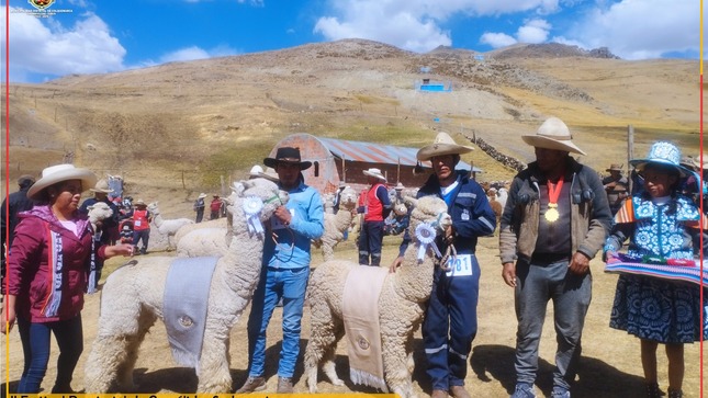 En un ambiente de festividad y tradición, la Municipalidad Distrital de Colquemarca, a través de la Gerencia de Desarrollo Económico y el Proyecto Ferias, en coordinación con la Comunidad de Huaracco, se enorgullece en informar que se llevó a cabo con gran éxito el II Festival Provincial de Camélidos Sudamericanos y III Remate a Martillo - Huaracco 2023.
El evento, que contó con el juzgamiento de alpacas, llamas, ovinos y animales menores, congregó a criadores y productores de toda la provincia, quienes exhibieron ejemplares de la más alta calidad. Asimismo, el concurso de gastronomía a base de carne de alpaca y trucha deleitó a los asistentes con exquisitos sabores y platillos típicos de la región.
Gracias al entusiasmo y participación de todos los presentes, se logró vender cerca de 500 alpacas, 40 llamas y 60 ovinos, alcanzando un monto recaudado que superó los 110 mil soles. Estos resultados son un claro indicador del potencial económico y cultural de nuestra comunidad.
La Municipalidad de Colquemarca agradece a los asistentes, expositores, y colaboradores por hacer de este festival una experiencia memorable y enriquecedora para todos. Continuaremos trabajando en la promoción de eventos que rescaten y fomenten nuestras tradiciones, contribuyendo al desarrollo de nuestra querida provincia.
¡Colquemarca, un nuevo comienzo con oportunidades para todos!
Prof. Santos Oviedo Ataucuri - Alcalde
Gestión 2023 - 2026
