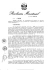 Vista preliminar de documento RM 029