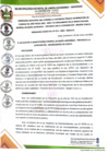 Vista preliminar de documento Ordenanza Municipal N°_013_2023