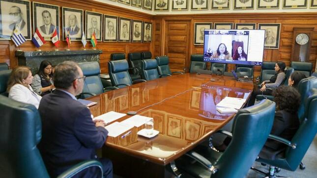 Minsa lideró XXXVI reunión extraordinaria de ministros de Salud del área andina