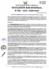 Vista preliminar de documento RSGDP 691-2023