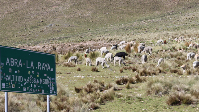 FOTOS DIFUSIÓN