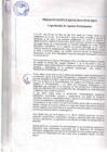 Vista preliminar de documento Presupuesto Participativo 2013