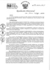 Vista preliminar de documento RD 079-2023-INO-DTR3Gn