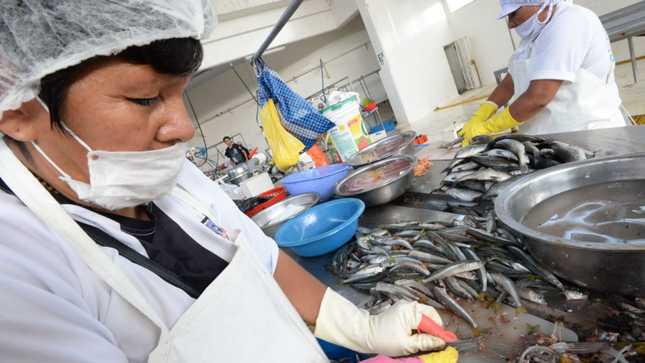 Crece el empleo en mayo 2023
