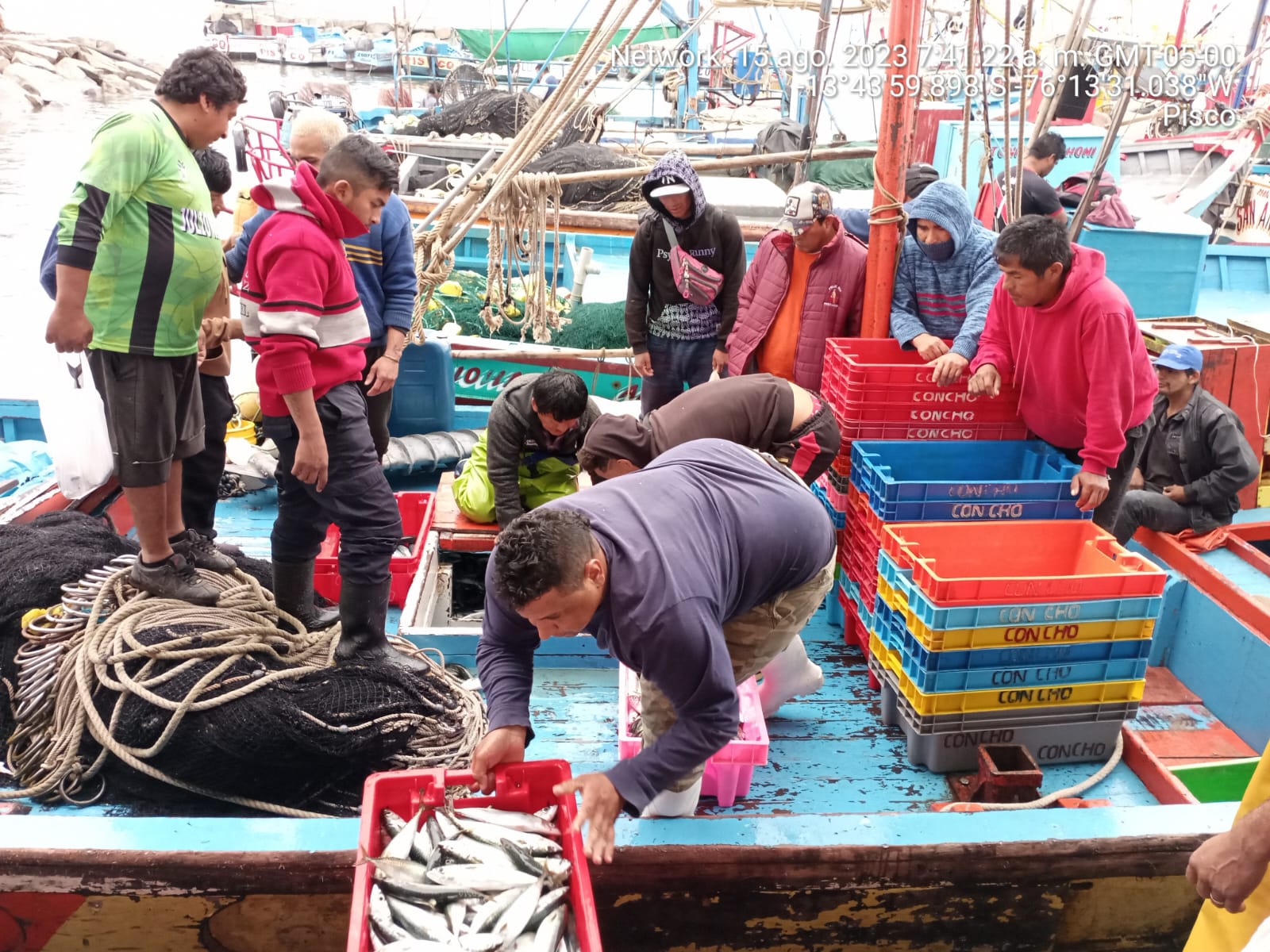 Ica: Produce incauta en Pisco más de 4500 kg de caballa proveniente de la pesca ilegal