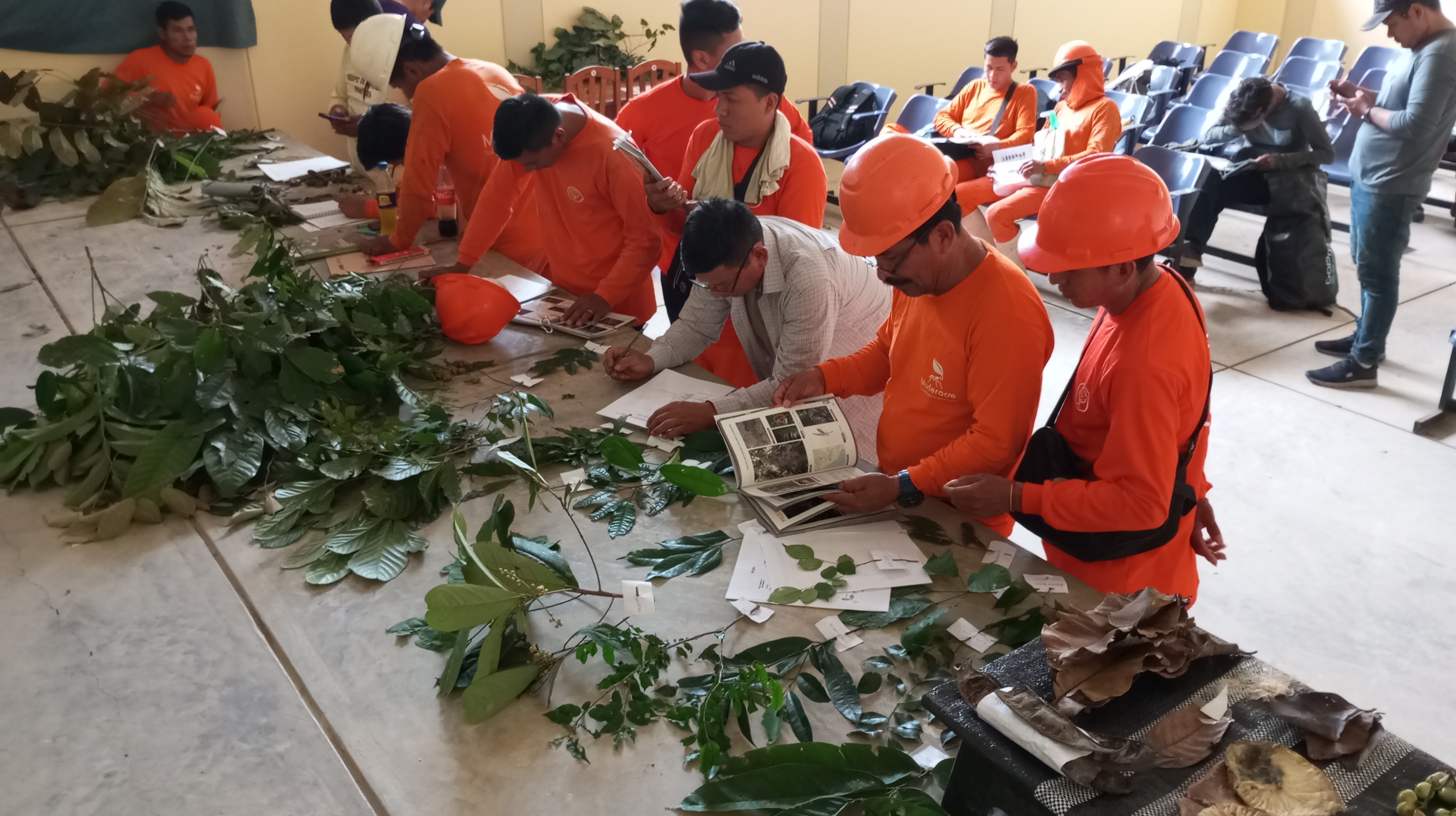 Curso para materos