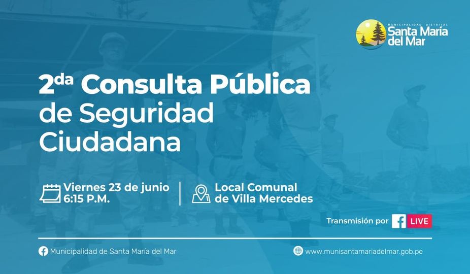 2da consulta publica de seguridad ciudadana