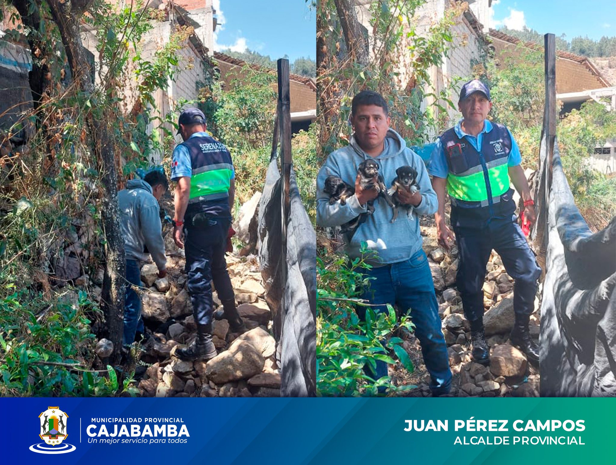 Rescatan Cachorros Indefensos